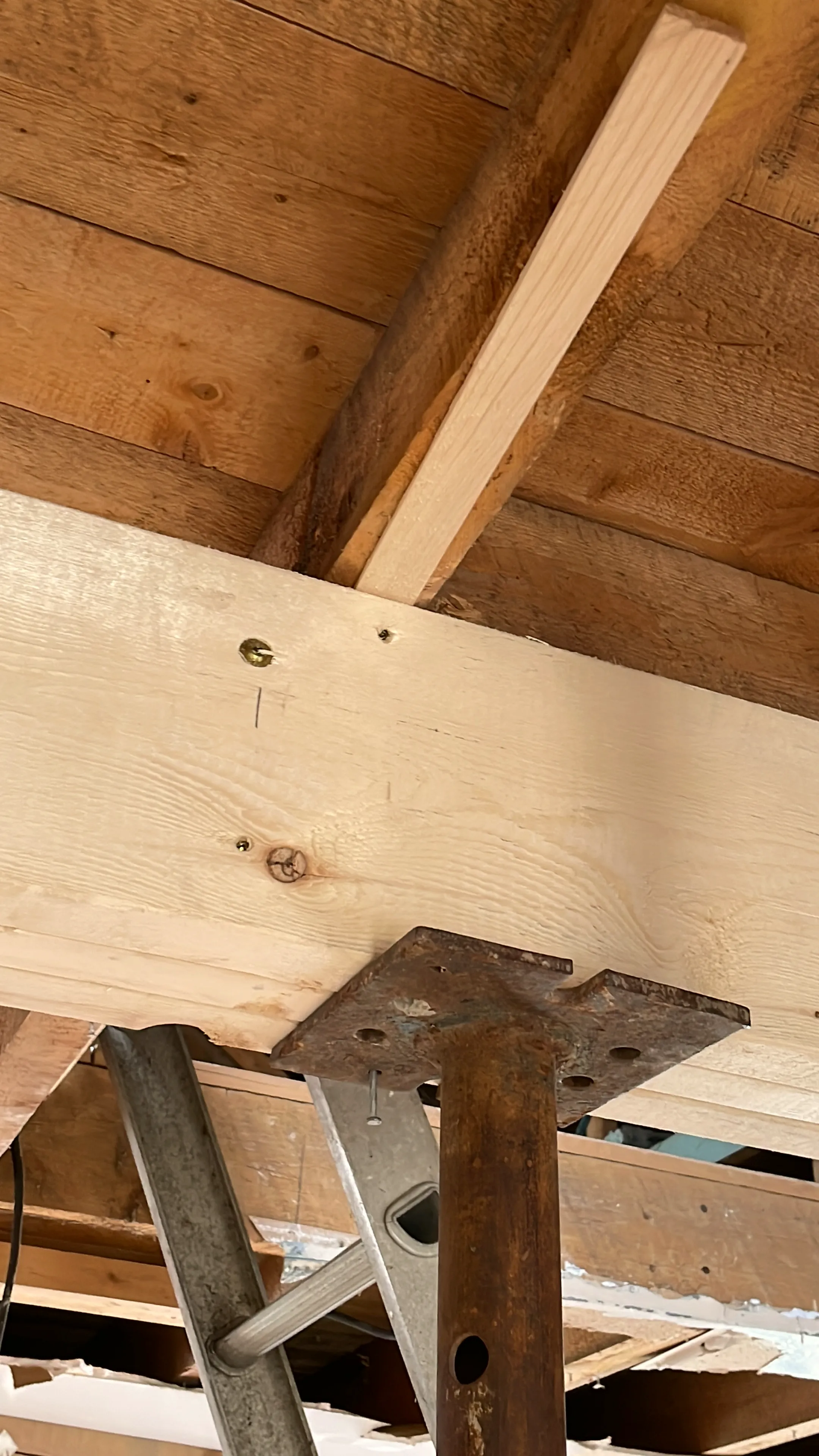 Framing with a new wood beam bearing on a steel post and cap plate, carrying the plank ceiling above.
