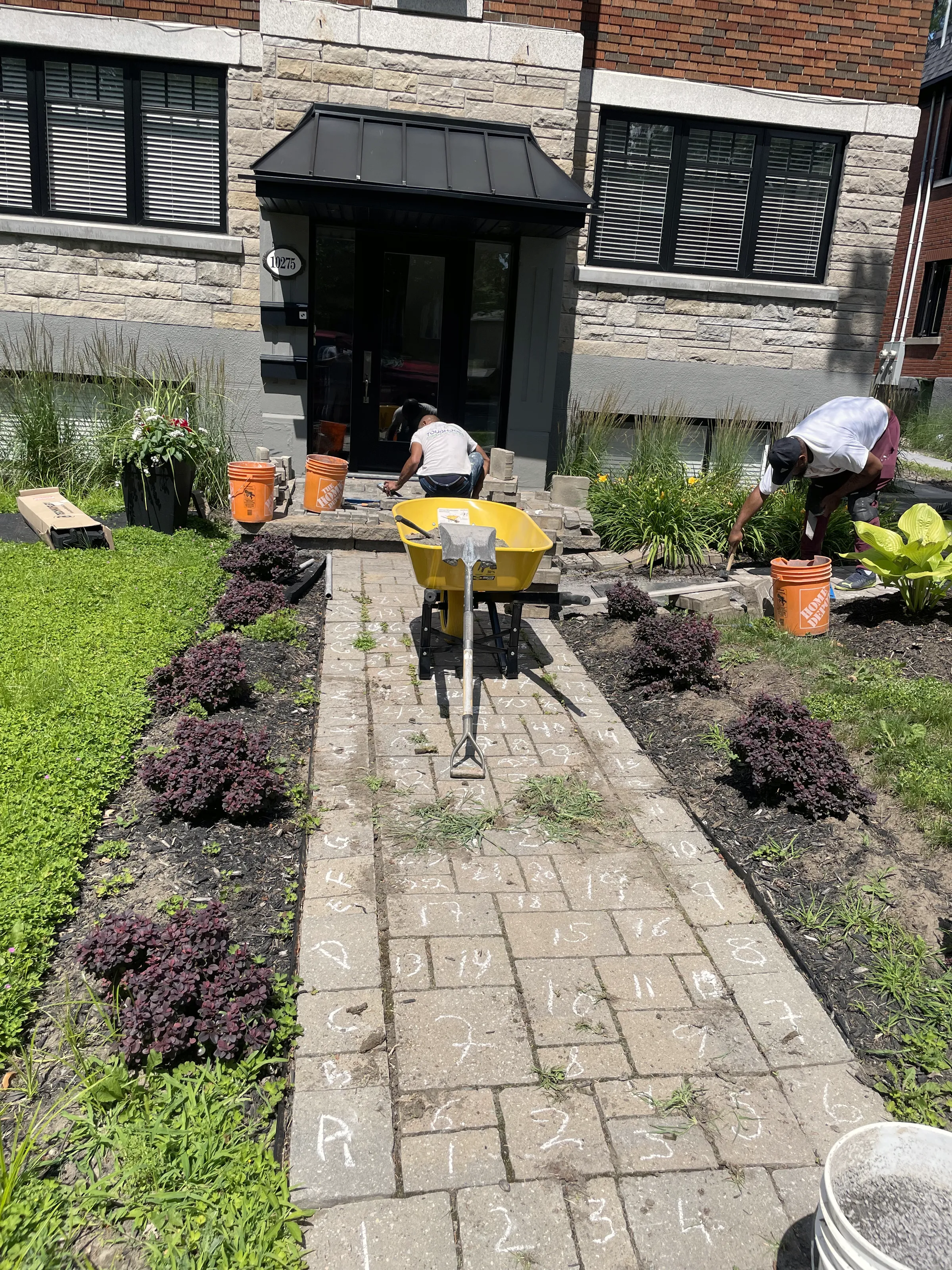 Front-yard paver walkway with workers laying pavers, a wheelbarrow and planting beds along each side.